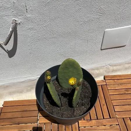 Appartement Dimora Del Borgo Antico Bari